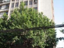 鱼洞 鱼轻路二房26万