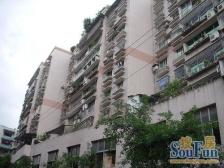 鱼洞 新农街三房