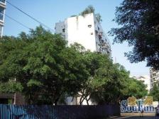 鱼洞 鱼轻路三房