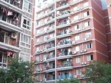 电梯顶跃带屋顶花园 配套成熟 交通便利 人多居住巴适