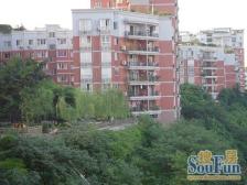 鱼洞 河畔名居A区四房69万