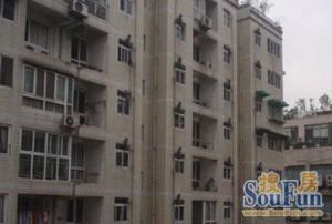 爱家特区3室2厅东南