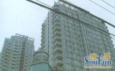 棕北国际3室2厅南