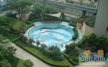 棕北国际 1室0厅 南