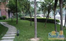 棕北国际 3室2厅 北