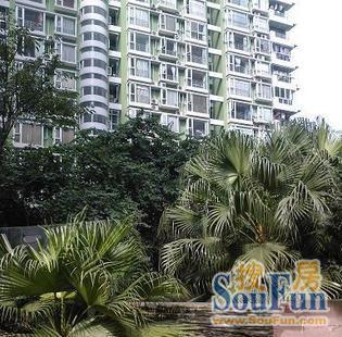 中国广厦街62号实景图