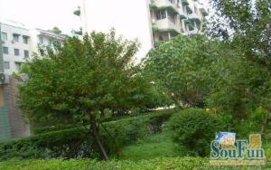 中央花园精一区 3室1厅 南 北