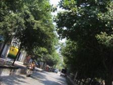 老城区 嘉陵锦苑三房