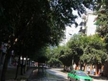 环境优美,户型方正,采光充足,住家安静。