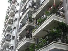 芳草地 3室2厅 东南