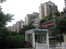 天星桥 金都花园四房150万