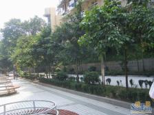 河边精装1室,业主工作调动,诚意出售