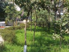 老城区 金马世纪港湾三房70万