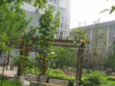 凤天路 巨东青春华庭二房86万