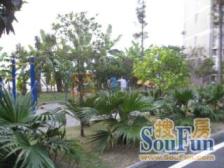 锦绣江南(李家沱) 3室1厅 南