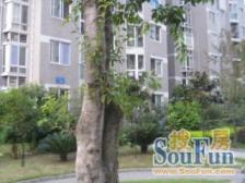 锦绣江南(李家沱) 3室2厅 南