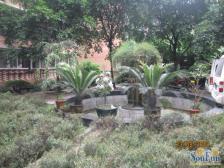 后门就是金沙天街旁边 采光好 户型方正 好地段