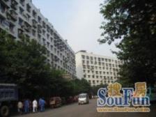 民主新街 2室1厅 东南