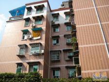 大川家园 3室1厅 东南