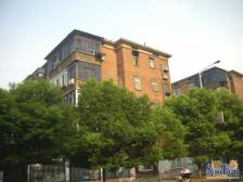 二七北路 南北通透,采光好 视野好,诚心出售