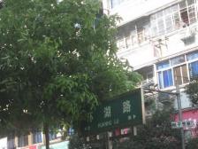 墩子塘 南北通透,采光好 近地铁 视野好,诚心出售