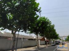 满五救这一套,有加装电梯,精装,全明户型