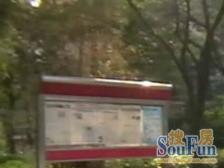 陆家嘴低总价电梯一居室 看房方便