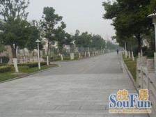 国展商圈,纯地上三层大独栋别墅,安盛88超低密度