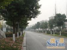 满五,现场实勘 无抵押,业主诚意