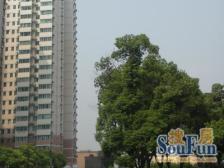 品质小区,小区中心位置,诚意出售,刚需好房