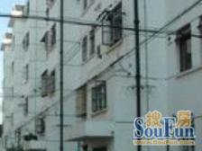 楼层好/精装修/南北通/七宝老街