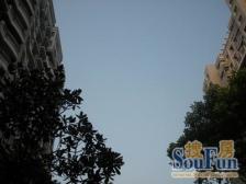 电梯房,品质小区,精装好房,近地铁