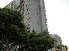 高区景观房,宝龙旭辉150米,有钥匙随时看