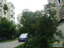 近地铁 刚需上车,满五,无抵押,新上房源