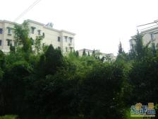 近地铁 采光好 产权清晰 通风好,新上房源