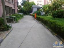 虹梅路品质小区,虹鹿商品房,钻石楼层,刚需精选