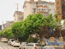 全明精装全明户型的啊