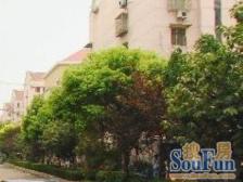 宝钢四村 3室1厅 南