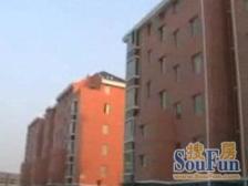 张江南、近万达、近地铁、南北通透小两房、配套齐全