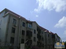 七宝·明泉花园·5室·2厅