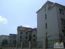 明泉花园(公寓) 5室2厅 南