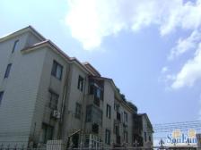 新上明泉花园独栋东临河南出门是七宝领展