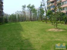 无抵押 产权清晰,采光好 新上房源