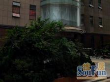 新天地烫金板块,总价低,配套齐全,随时看房