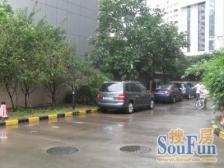 店长直推,朝南大平层,品质物业,小区自带会所。