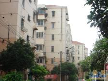 一梯两户,边套全明两室一厅,房屋正气,诚意出售