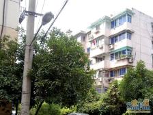 北新泾地鉄口 中间楼层 一梯两户 边套全明 精装修 业主诚售