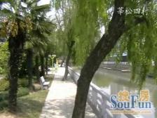 莘松九村 3室1厅 南