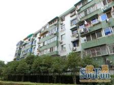 全明双南户型,送双天井,朝南房间前无大树,阳光好