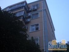 金桥·中大苑·1室·1厅